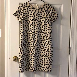 J. Crew cream and black polka dot dress